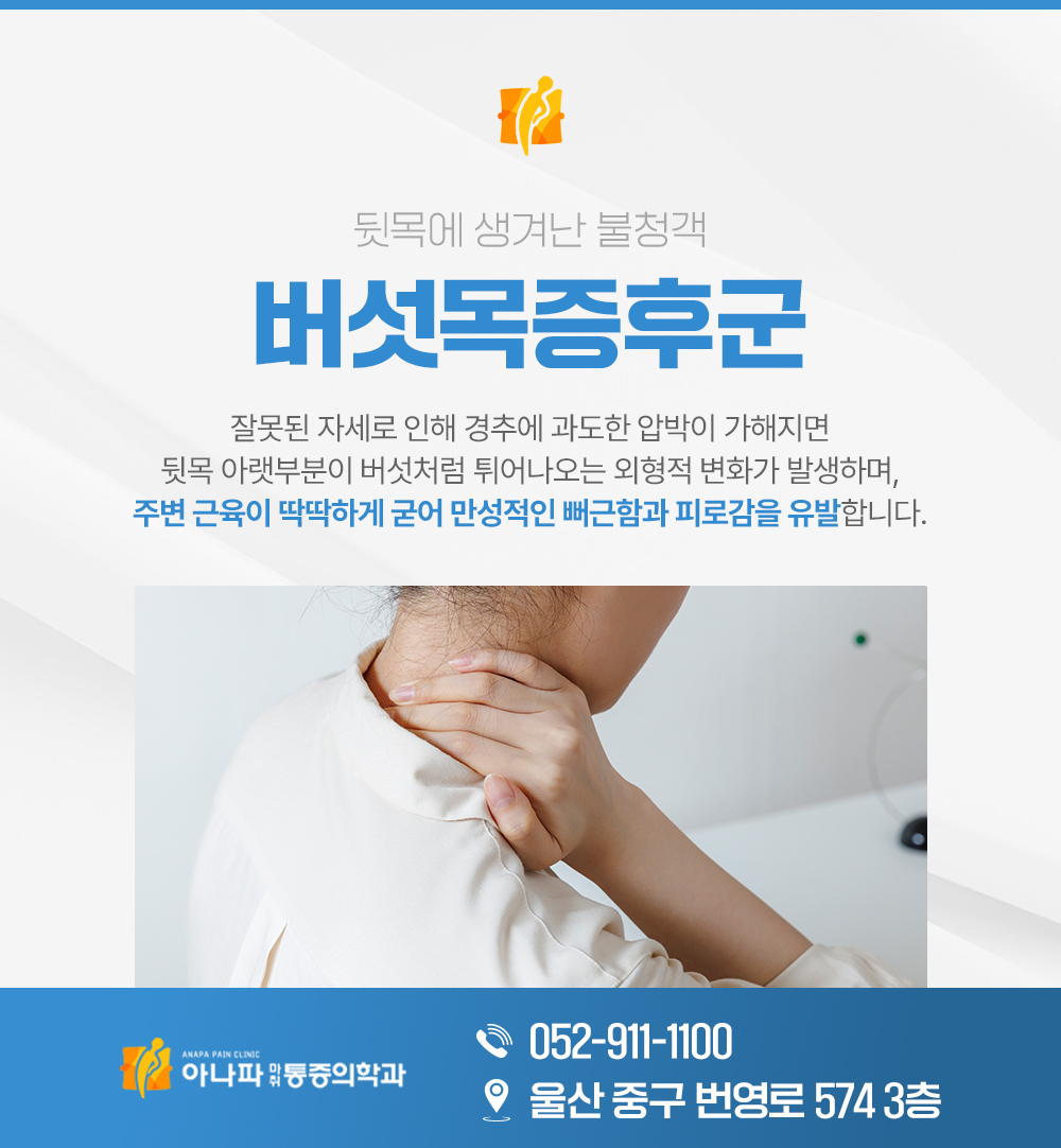 버섯목증후군 일자목, 거북목 그 다음은..목디스크까지 이어질 수 있어요