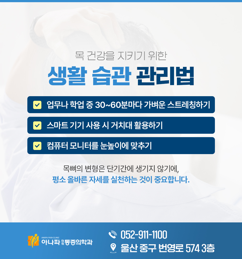 버섯목증후군 일자목, 거북목 그 다음은..목디스크까지 이어질 수 있어요